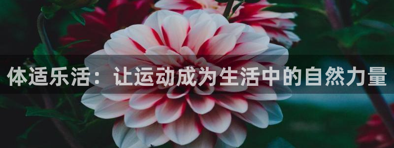 杏悦2平台