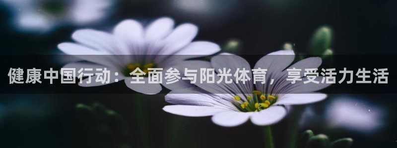 杏悦体育用品：健康中国行动：全面参与阳光体育，享受活力生活