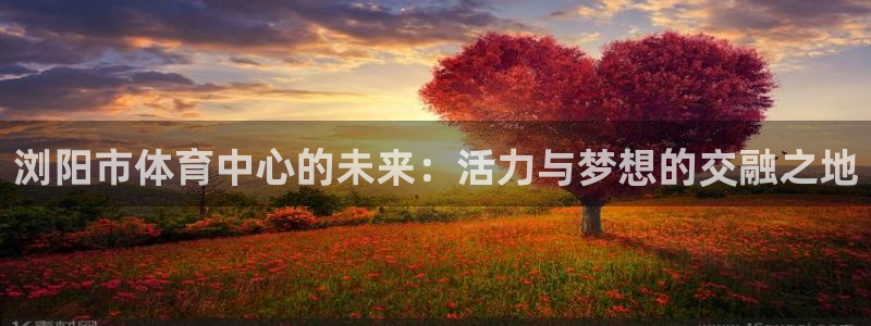 杏悦官网：浏阳市体育中心的未来：活力与梦想的交融之地