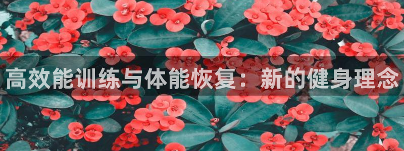 杏悦体育代理：高效能训练与体能恢复：新的健身理念