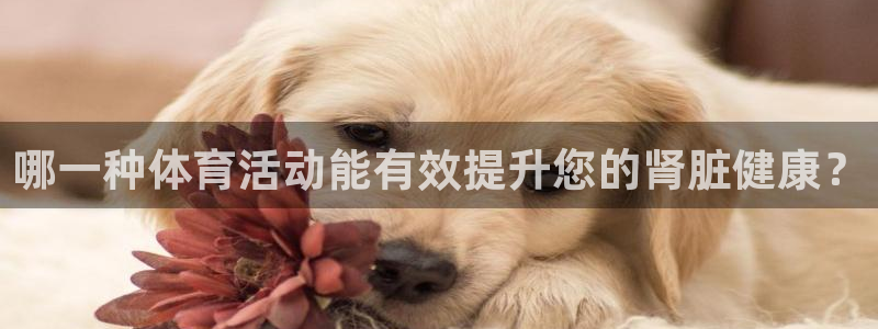 杏悦2登录：哪一种体育活动能有效提升您的肾脏健康？