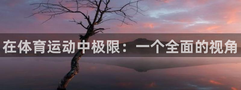 杏悦：在体育运动中极限：一个全面的视角