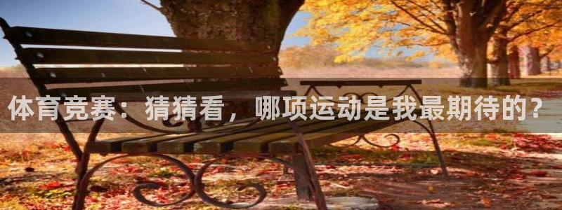 杏悦平台注册入口：体育竞赛：猜猜看，哪项运动是我最期待的？
