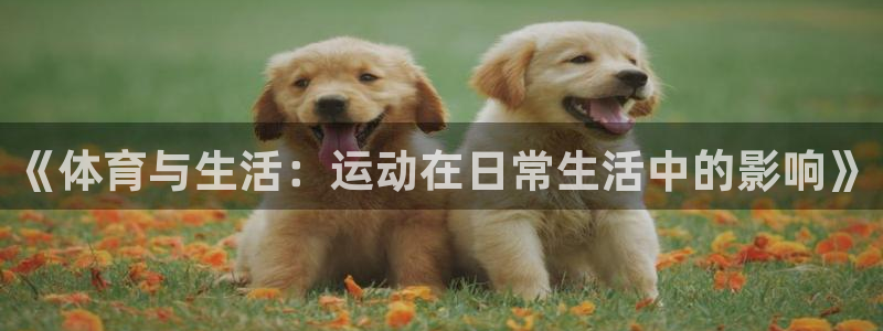 杏悦体育免费注册入口：《体育与生活：运动在日常生活中的影响》