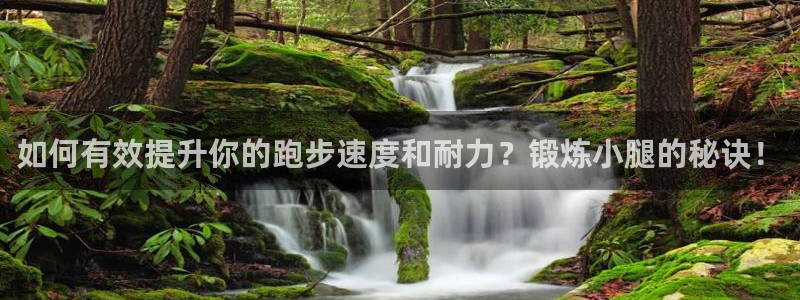 杏悦3平台注册：如何有效提升你的跑步速度和耐力？锻炼小腿的秘诀！
