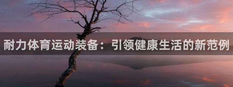 杏悦3登录：耐力体育运动装备：引领健康生活的新范例