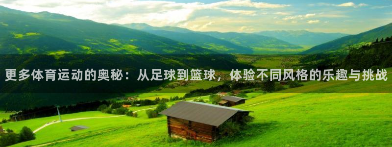 杏悦：更多体育运动的奥秘：从足球到篮球，体验不同风格的乐趣与挑战