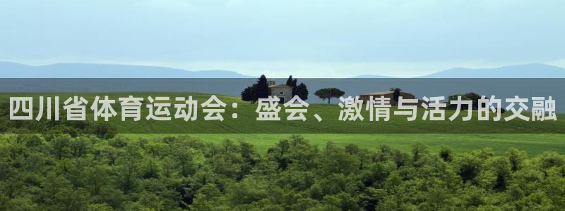 杏悦主管：四川省体育运动会：盛会、激情与活力的交融