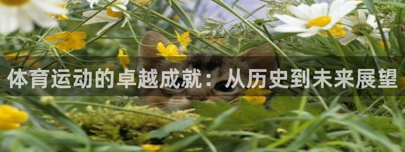 杏悦2平台注册入口：体育运动的卓越成就：从历史到未来展望