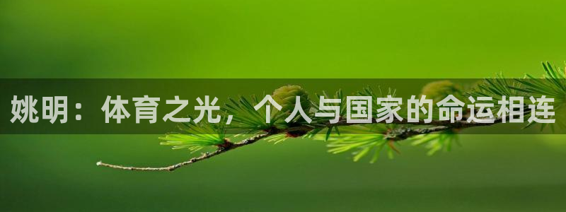 杏悦体育平台开号链接：姚明：体育之光，个人与国家的命运相连