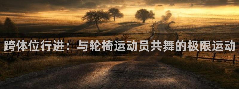 杏悦体育凯捷代理注册：跨体位行进：与轮椅运动员共舞的极限运动
