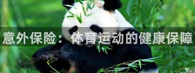 杏悦2体育：意外保险：体育运动的健康保障