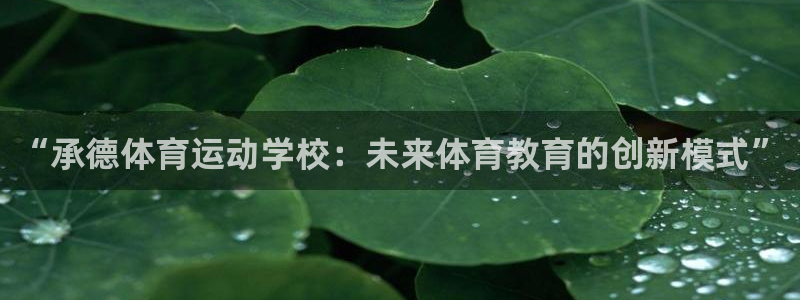 杏悦集团：“承德体育运动学校：未来体育教育的创新模式”