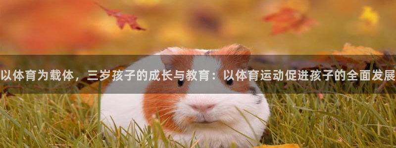 杏悦：以体育为载体，三岁孩子的成长与教育：以体育运动促进孩子的全面发展