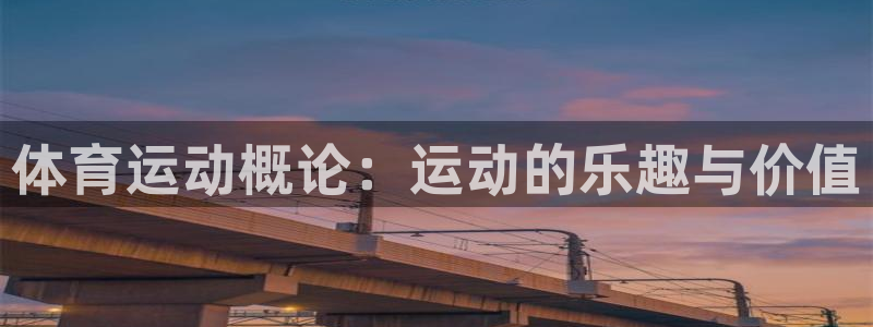 杏悦体育4：体育运动概论：运动的乐趣与价值
