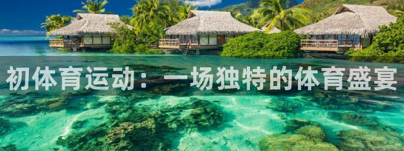 福建杏悦机电股份公司：初体育运动：一场独特的体育盛宴