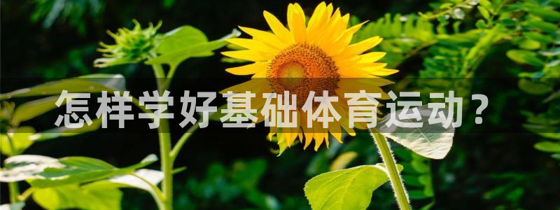杏悦体育注册登录入口：怎样学好基础体育运动？
