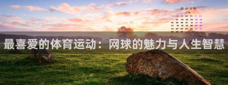 杏悦体育f开号：最喜爱的体育运动：网球的魅力与人生智慧